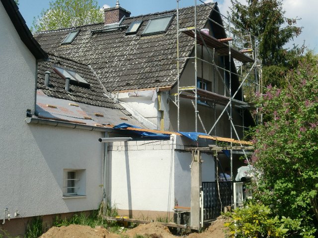 0125 NHoffmann_Foto